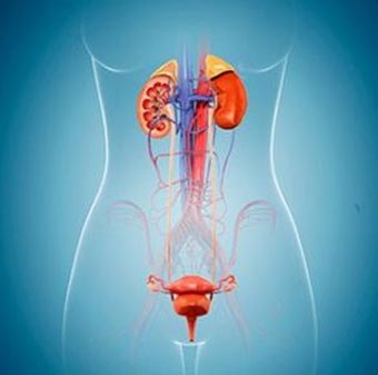 Reconstructive Urology Treatment